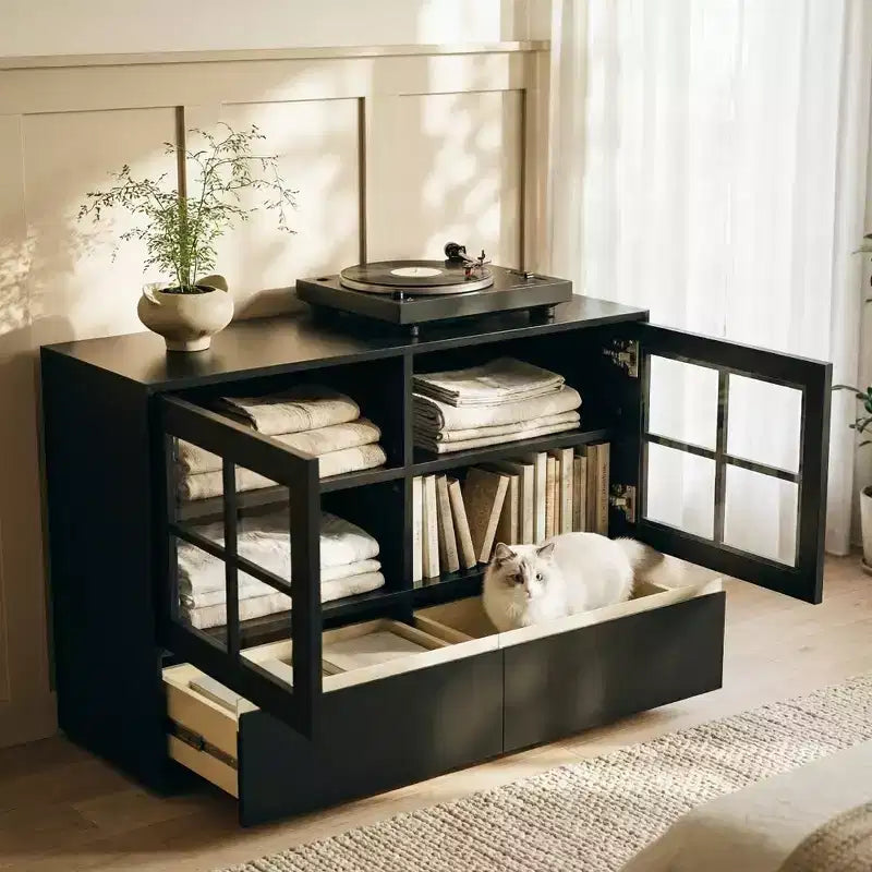Buffet moderne avec portes en acrylique, meuble de rangement à 2 tiroirs